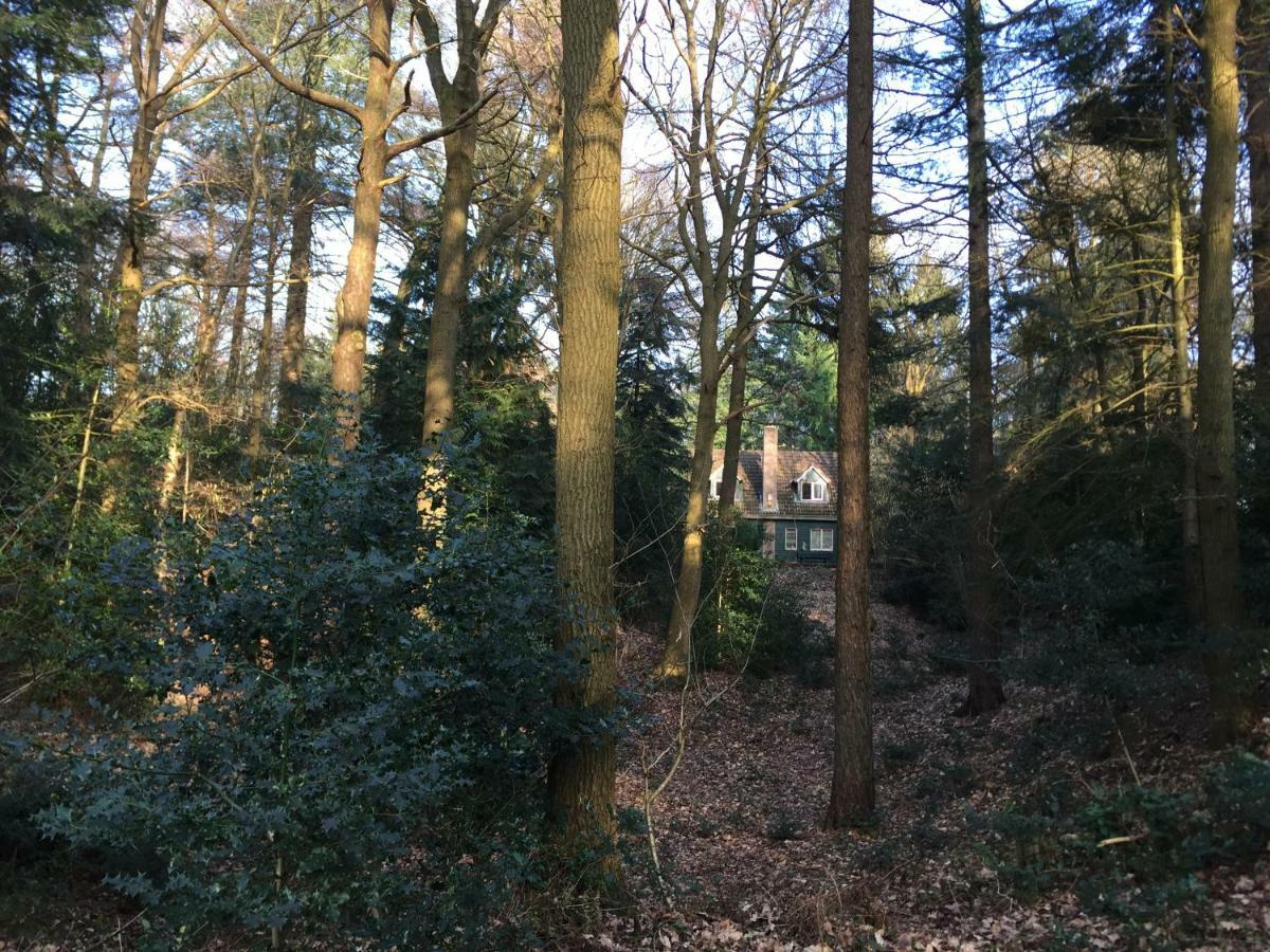 Landgoed De Heezeberg Villa Diever Exterior photo